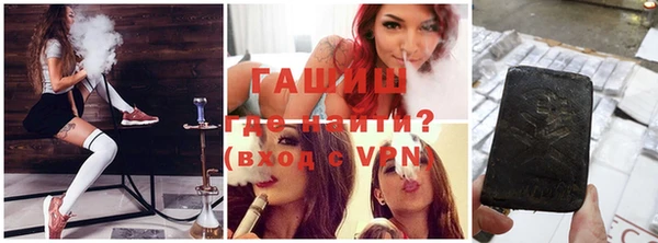 индика Осташков