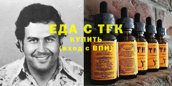 индика Осташков