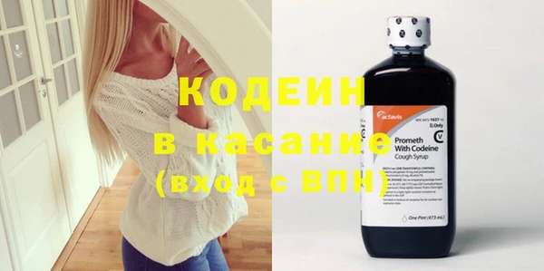 индика Осташков