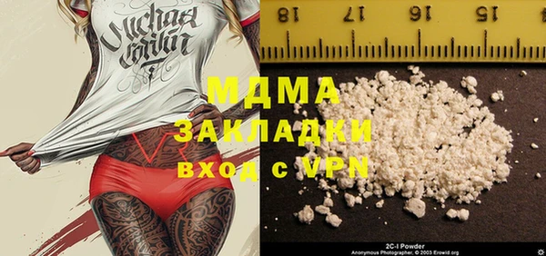 индика Осташков