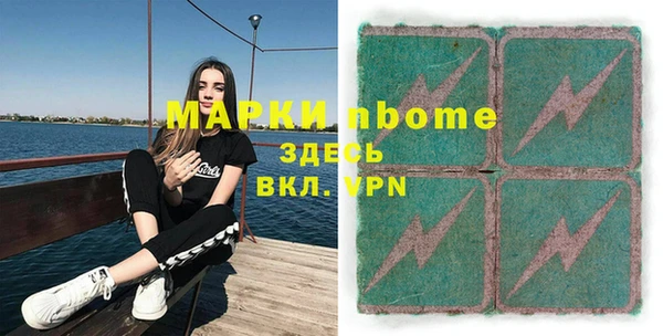 индика Осташков