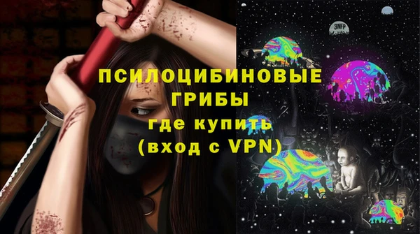 прущие крисы Пересвет