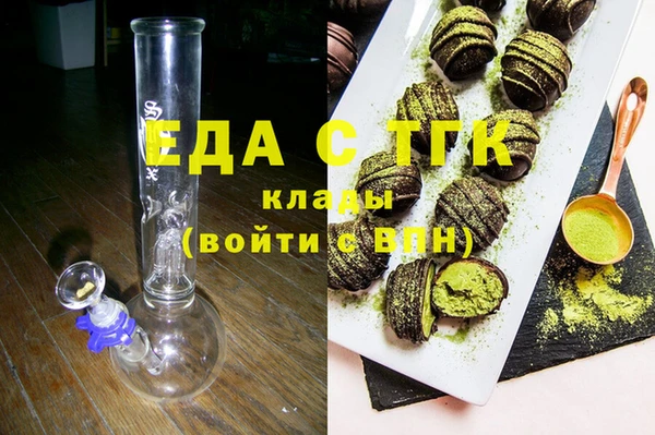 индика Осташков