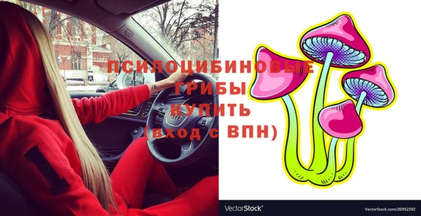индика Осташков