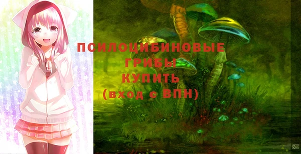 индика Осташков