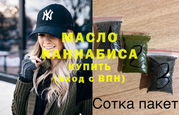 индика Осташков