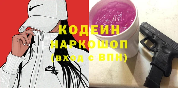индика Осташков