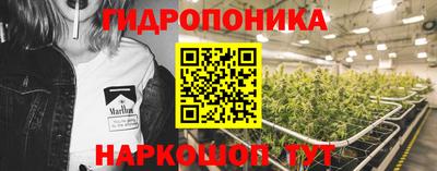 индика Донецк