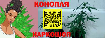шишки Дубна