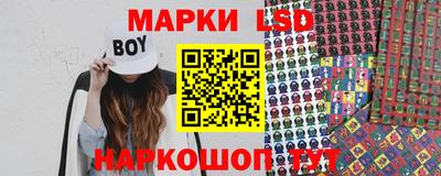 шишки Дубна