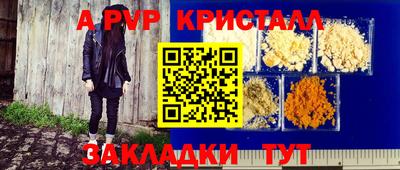 шишки Дубна
