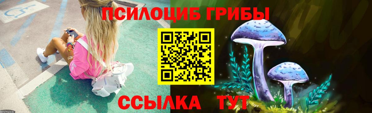 Сертолово  Псилоцибиновые грибы GOLDEN TEACHER  цены   Вход с VPN 